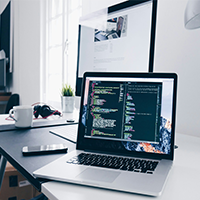 LEO Software Private Limited software development and implementation process